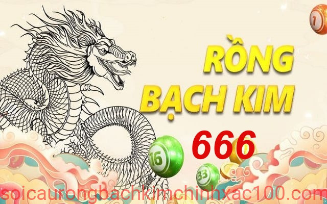rồng bạch kim 666