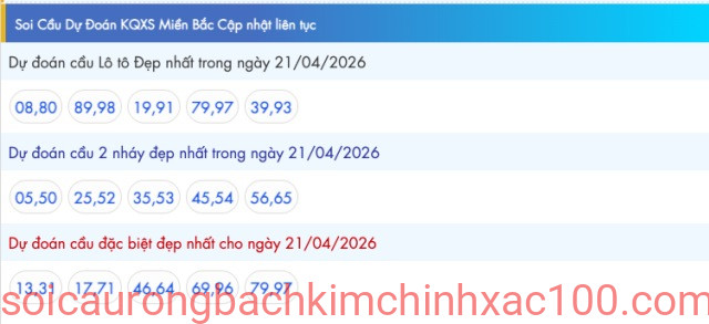 kết quả dự đoán theo ngày