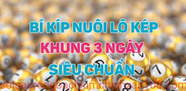 nuôi lô khung kép 3 ngày