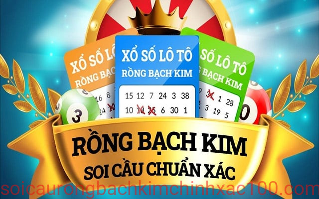 soi cầu vip 4