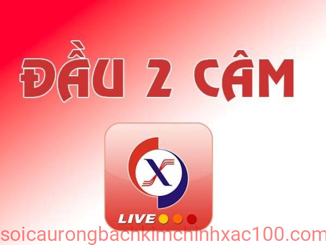 đề về đầu 2 đánh con gì