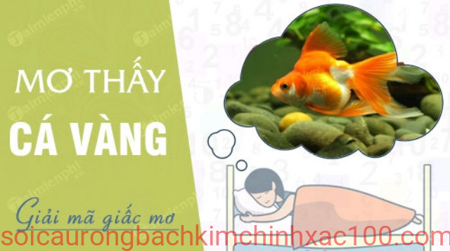nằm mơ thấy cá vàng đánh con gì