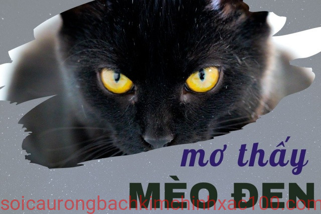 mơ thấy mèo mun đánh con gìddeer trúng lớn