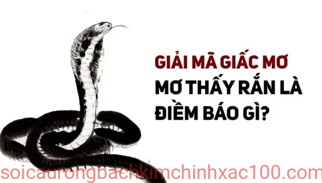 mơ thấy rắn đánh con gì