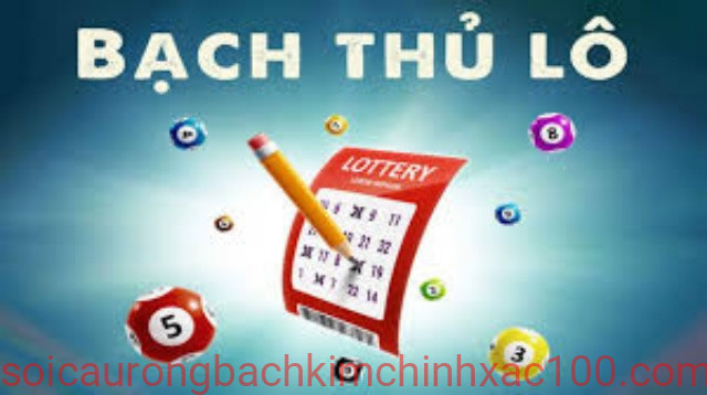 bạch thủ lô là gì?
